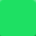 Load image into Gallery viewer, Neon Dark Green (27D #241)