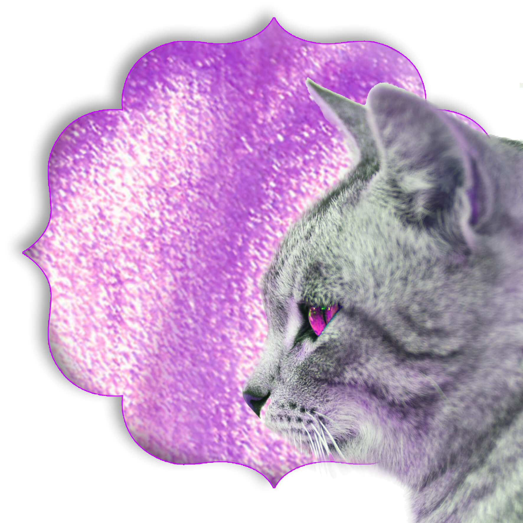 27D.cat.eye.gel #1 cat.rose