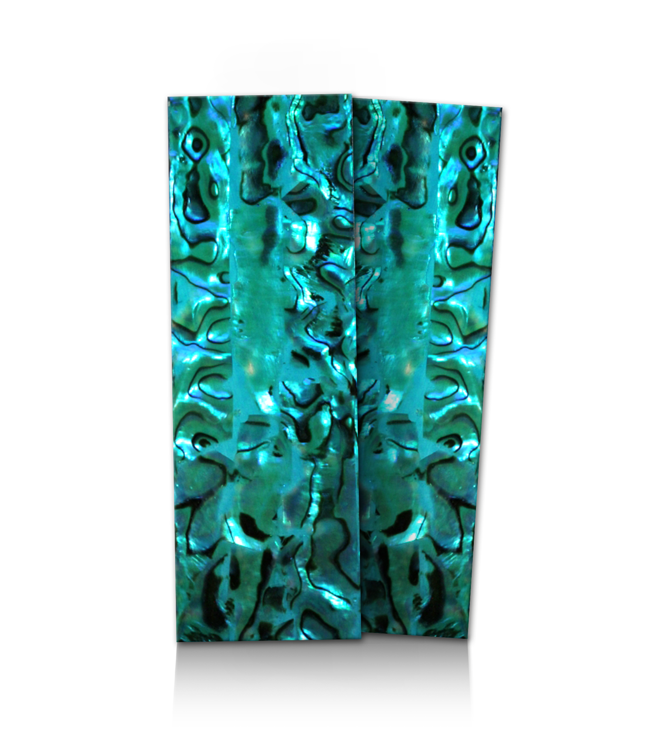 TURQUOISE ShellPLATE